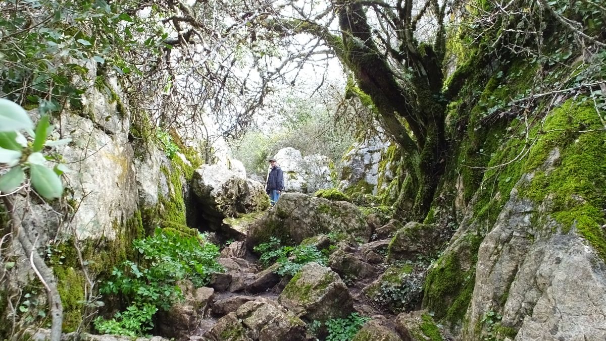 Wandern im El Torcal Naturschutzgebiet