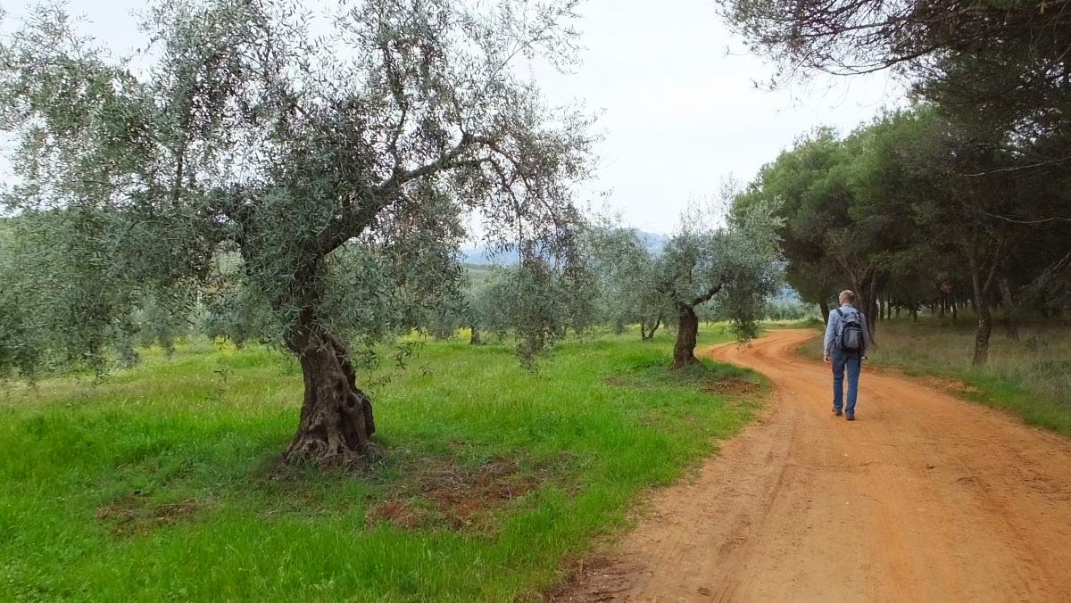 Wanderung um die Alhabra herum