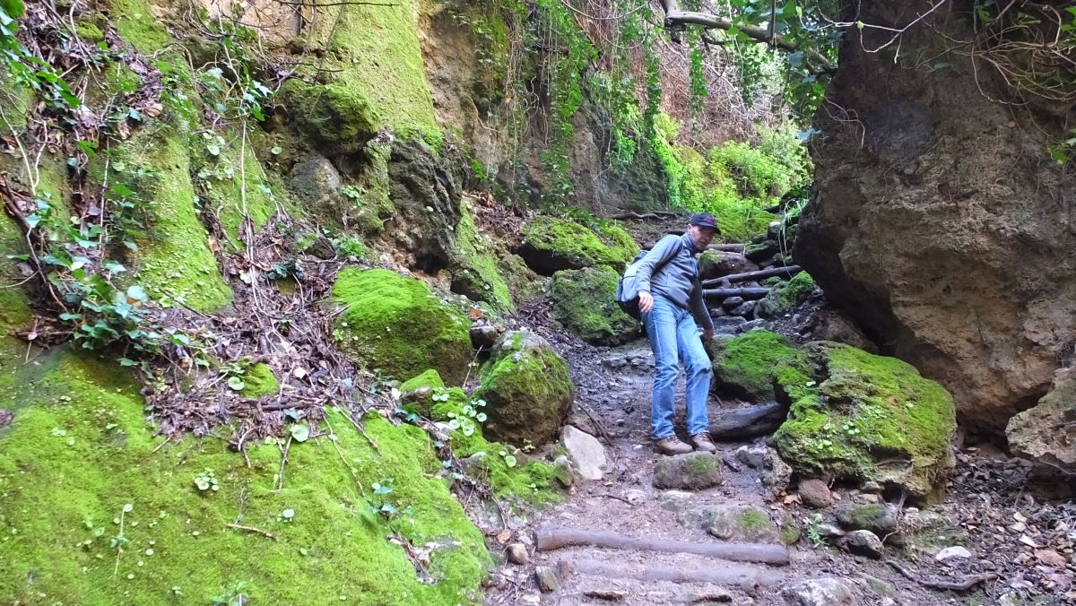 rutschiger Wanderweg