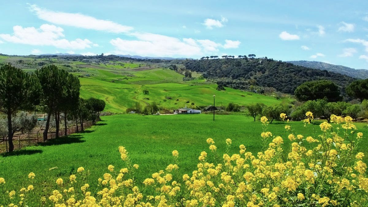 Landschaft um Ronda