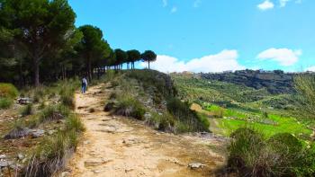 Landschaft um Ronda