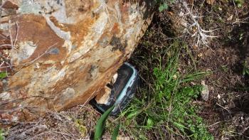 Geocache am Wegesrand