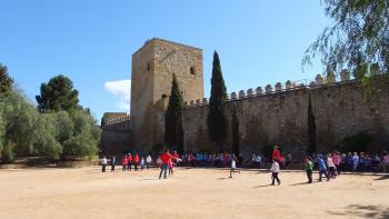 Castillo de Papabellotas (Alcazaba)