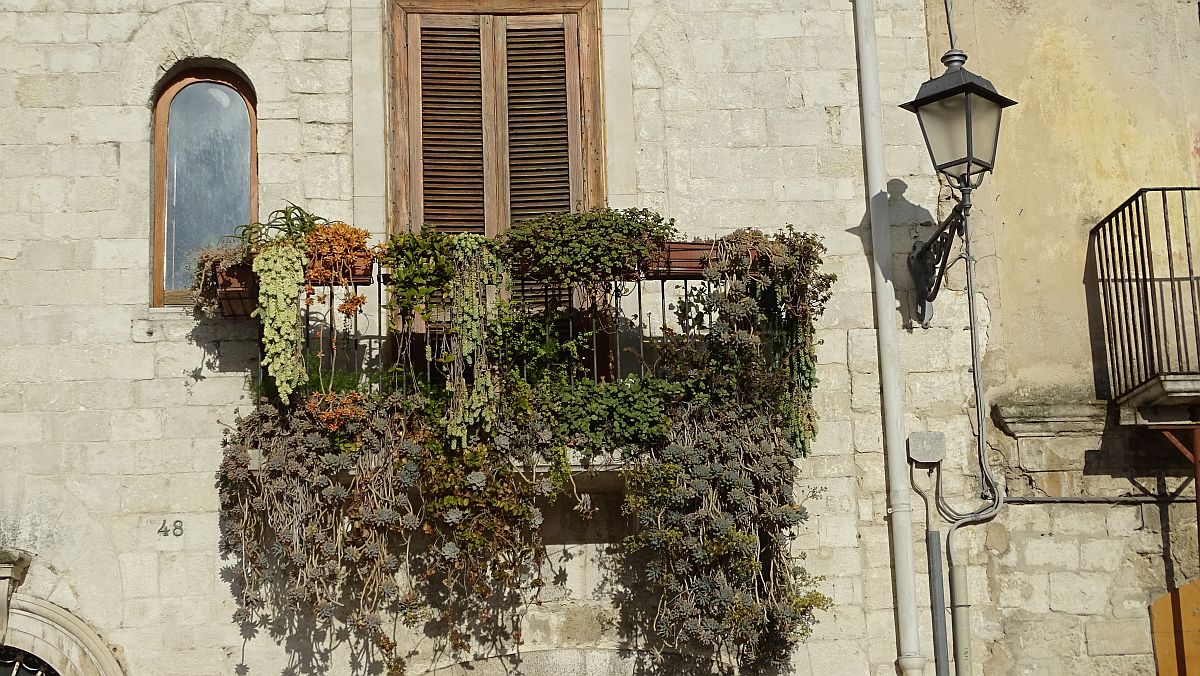 Bari, üppiger Balkon