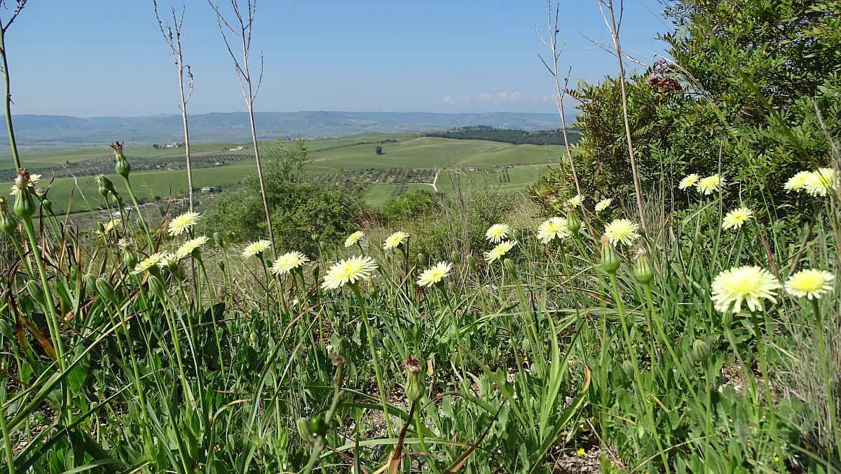 Frühling