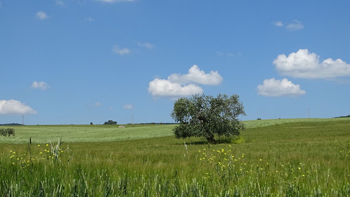 Weg zurück nach Matera