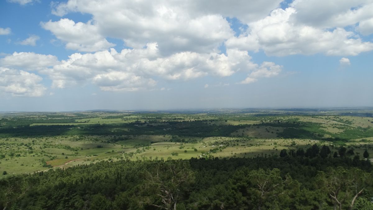 Blick in die Landschaft