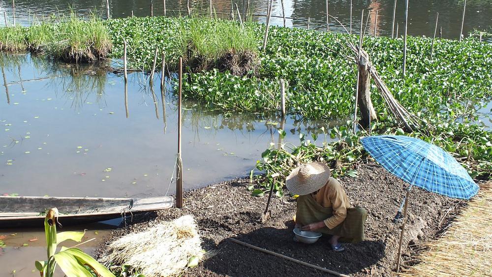 Gartenarbeit