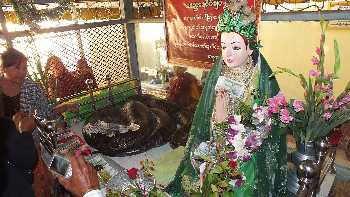 Schlangenbuddha in Bago