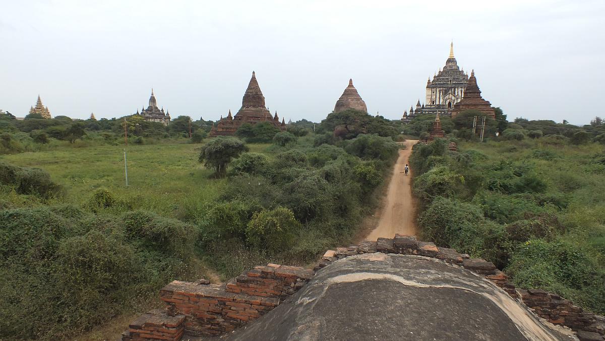 im Pagodenfeld Bagan