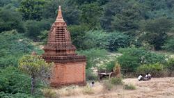 Landwirtschaft in Bagan