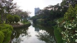 Im Lake-Park KL