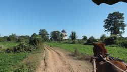 Kutschtour zum Turm