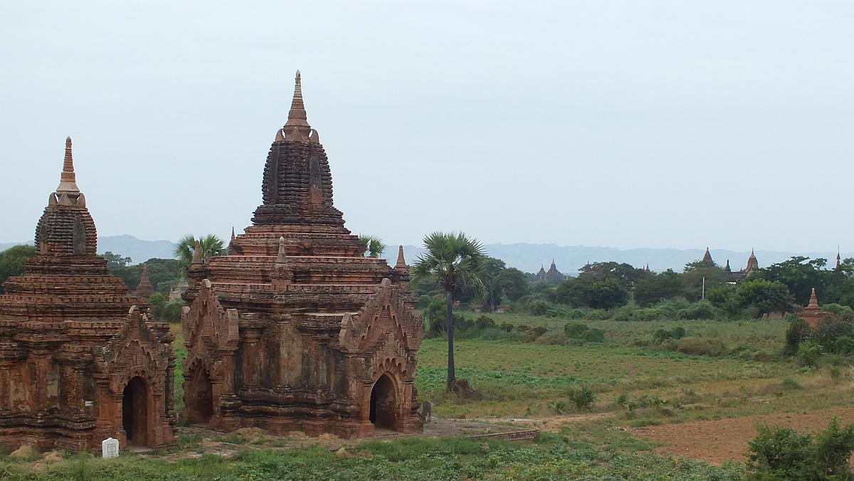 Pagodenfeld Bagan