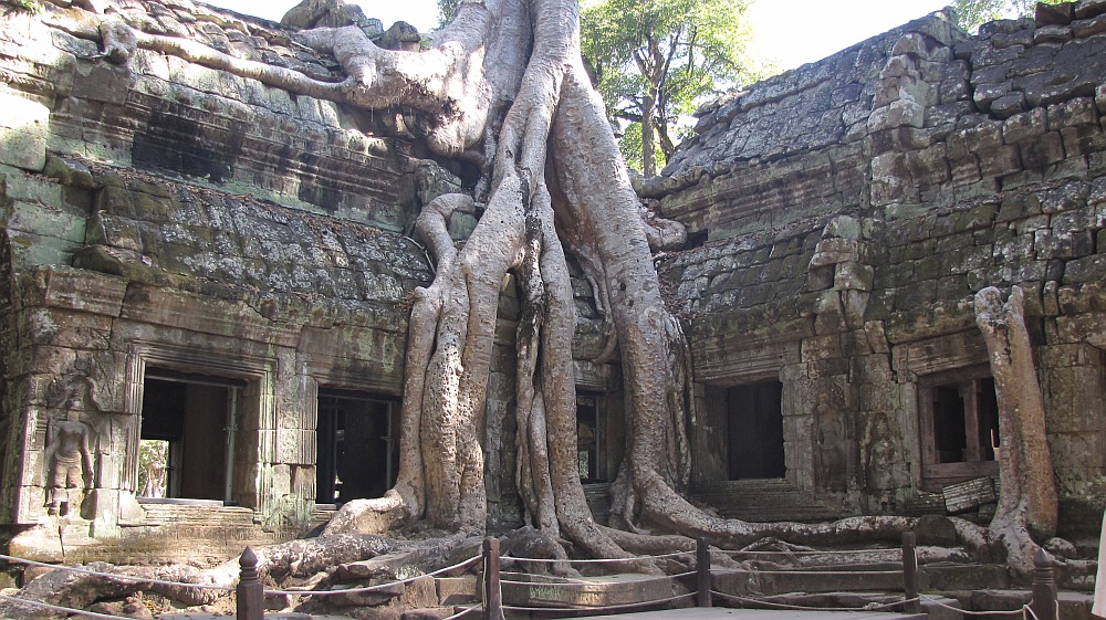 Ta Prohm