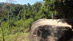 Wanderung zu Kbal Spean, dem Tal der 1000 Lingas