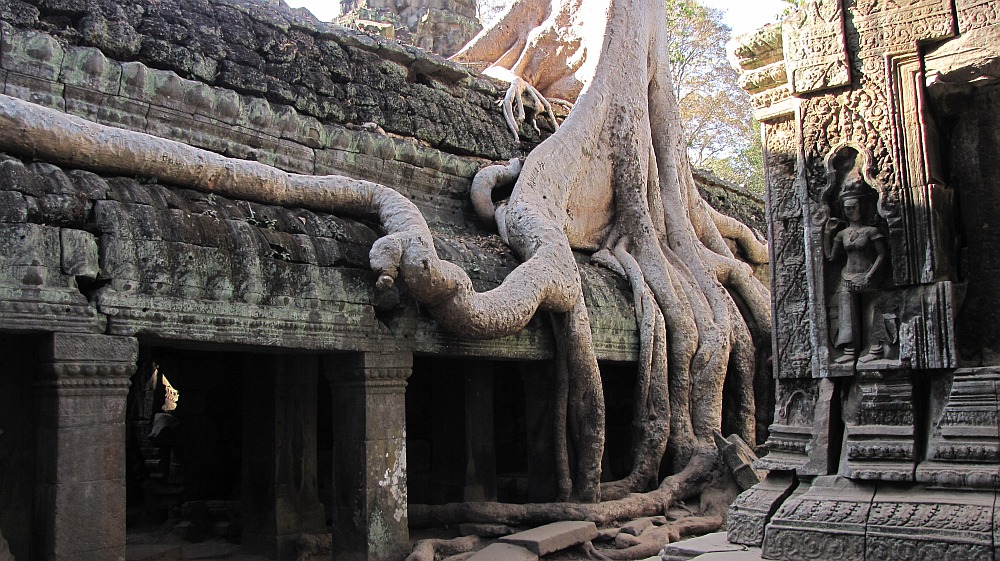 Ta Prohm