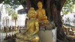 Wat Moha Montrei