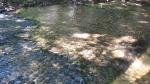 Lingas im Flussbett