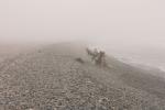 dichter Nebel im 500 Meter breiten Küstenstreifen