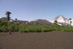 Nationalpark Conguillío, Llaima