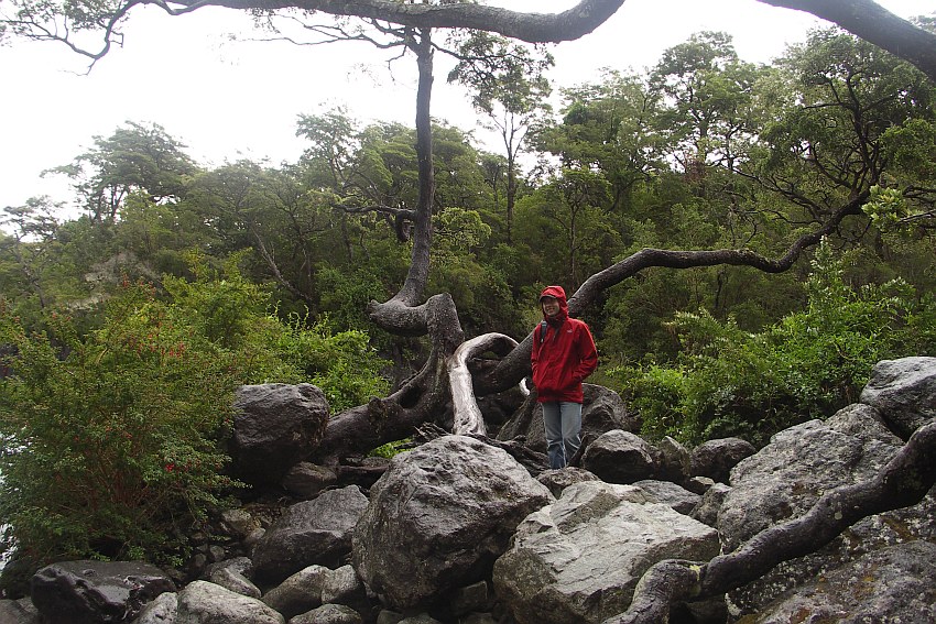 André im Regenwald