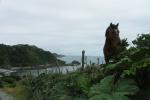 Chiloe