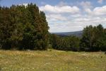 liebliche Landschaften