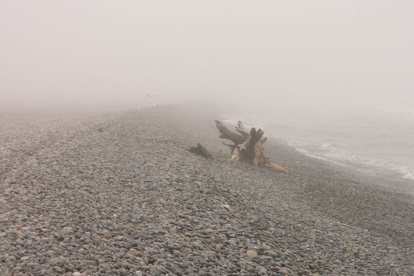 dichter Nebel im 500 Meter breiten Küstenstreifen
