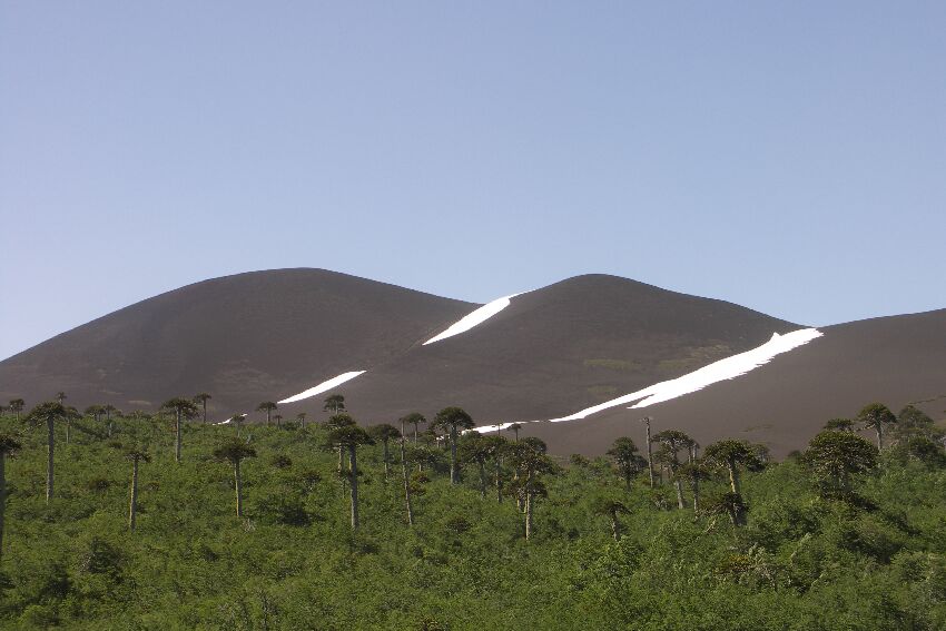 Nationalpark Conguillío, Kontraste