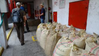 Abfüllung des grünen Kaffees