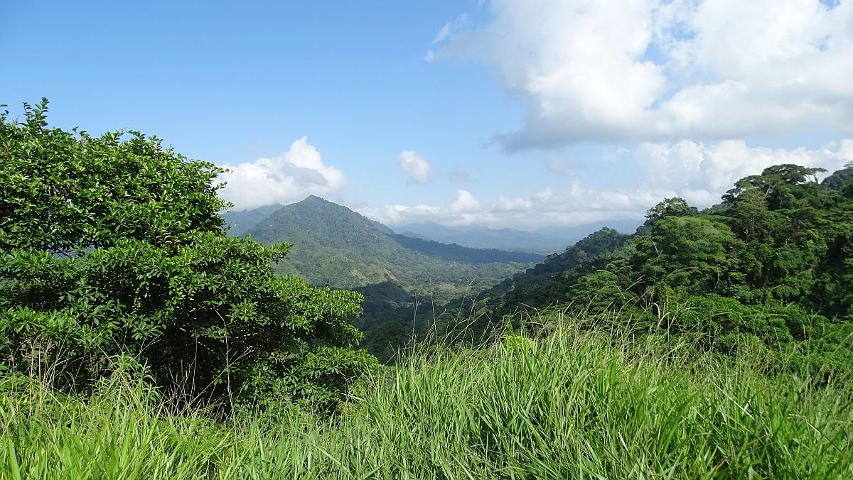 Blick zurück