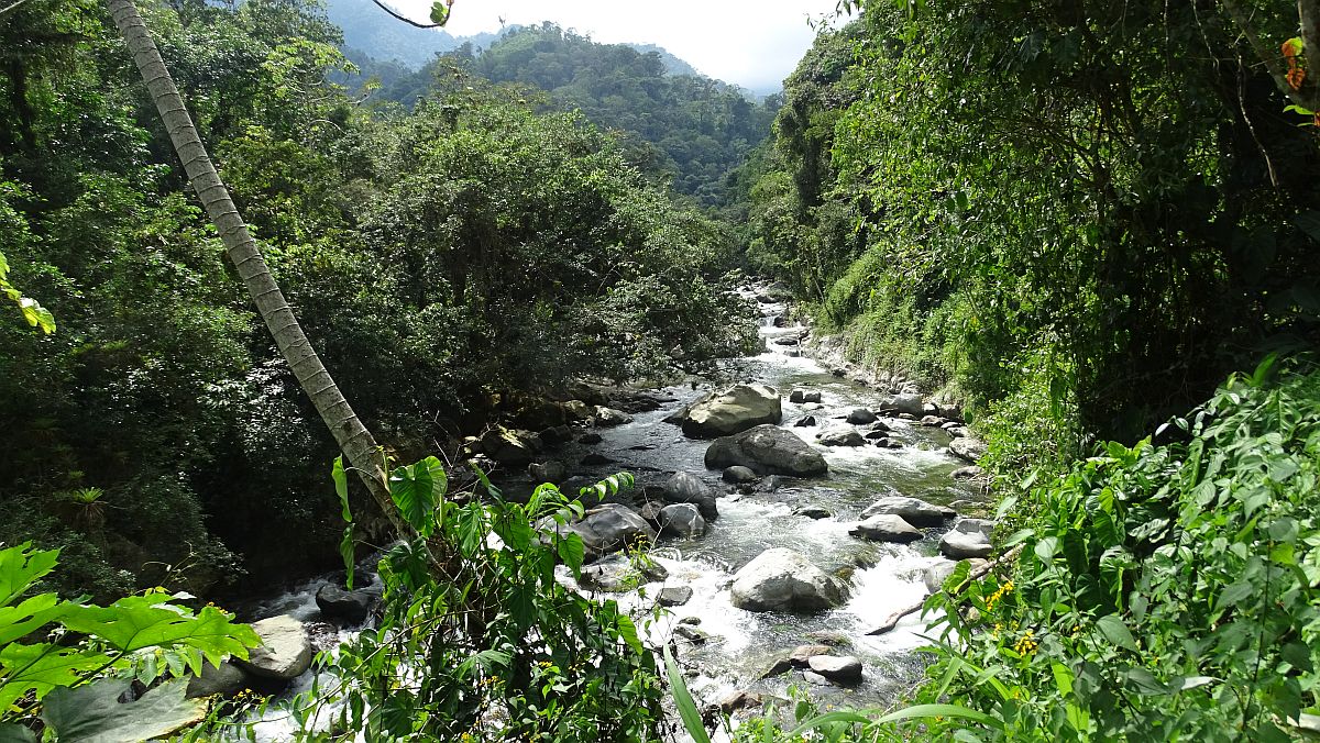 Rio Buritaca