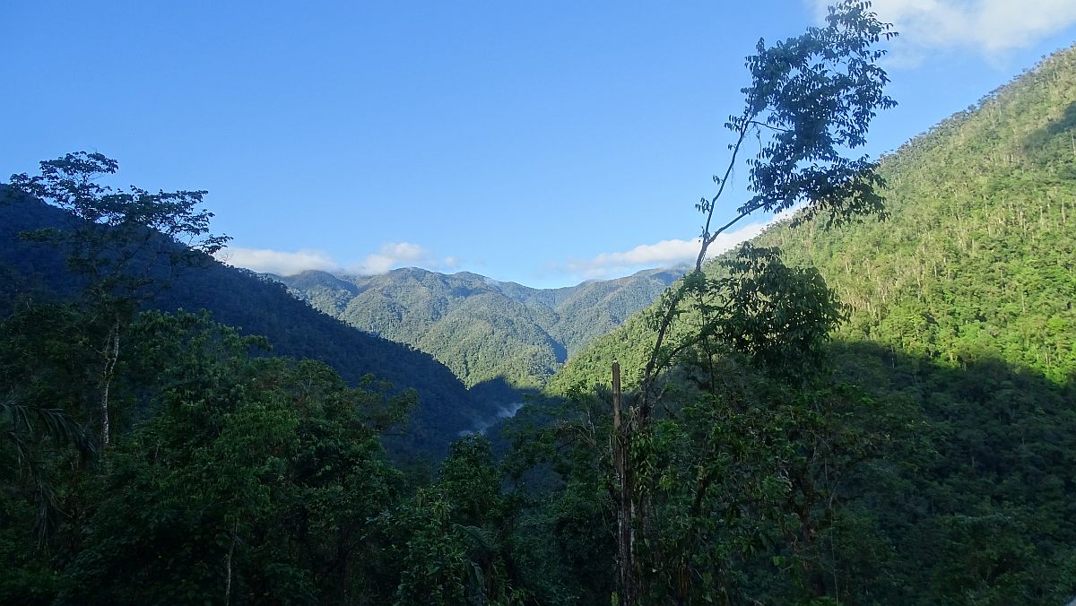 Blick in die Berge der Kogi