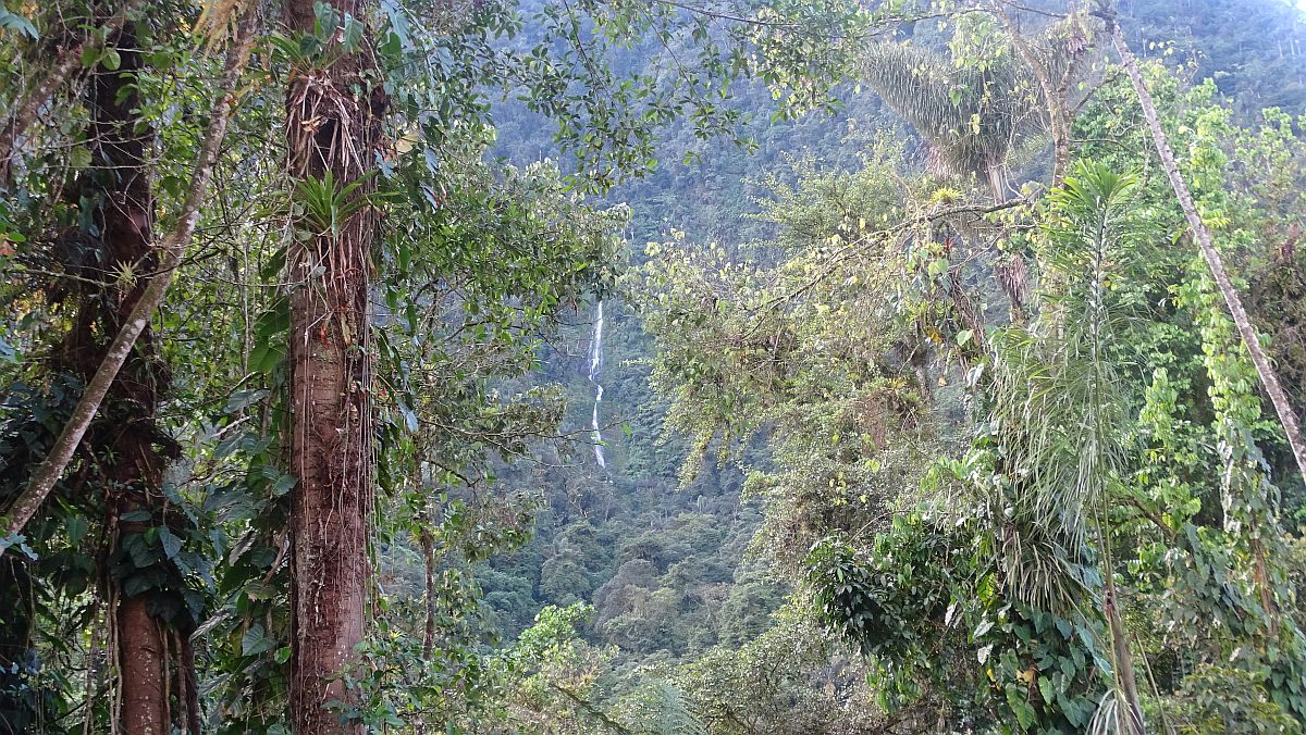 hoher Wasserfall an gegenüberliegenden Berghang