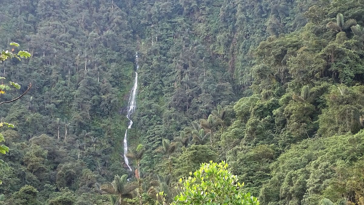 Wasserfall