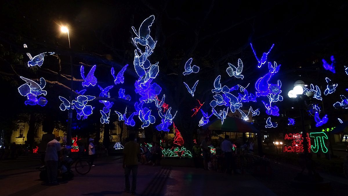 Weihnachtsdeko im Parque Santander