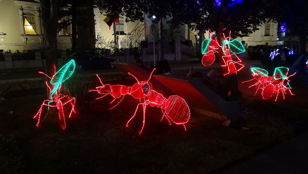 Weihnachtsdeko im Parque Santander