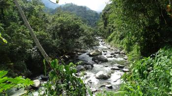 Rio Buritaca