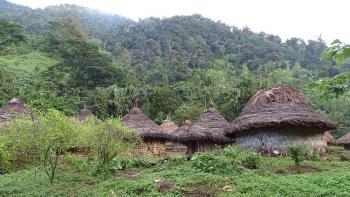 Kogi-Dorf