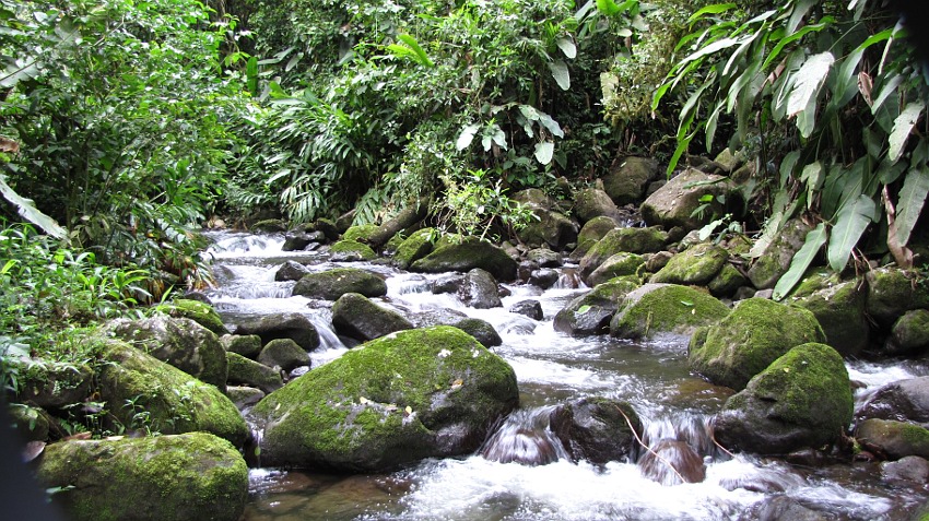 in der Nähe des Guayabo-Nationalmonuments