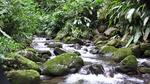 in der Nähe des Guayabo-Nationalmonuments