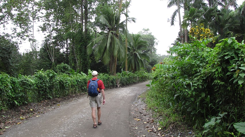 Dorfstraße Cahuita