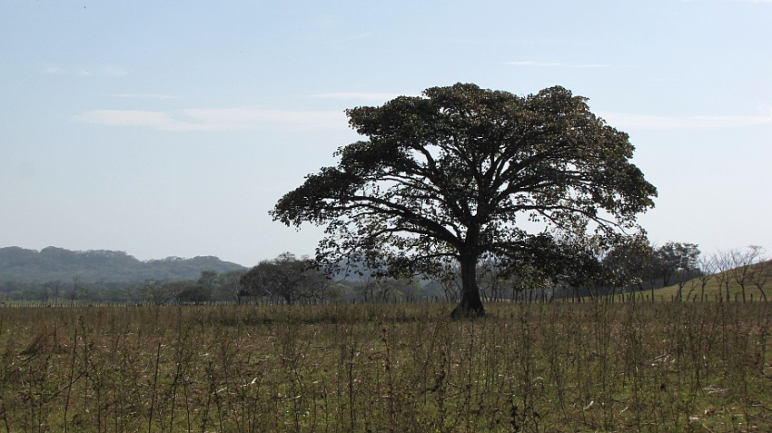 Abschied von der trockenen Nicoya-Halbinsel