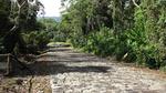 uralte Plasterstraße durch den Dschungel, Guayabo-Nationalmonument
