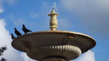 Brunnen auf dem Plaza de San Francisco de Asis