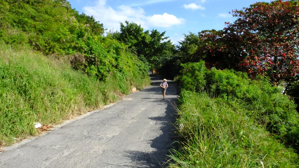 Weg zum Kastell