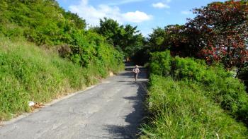 Weg zum Kastell