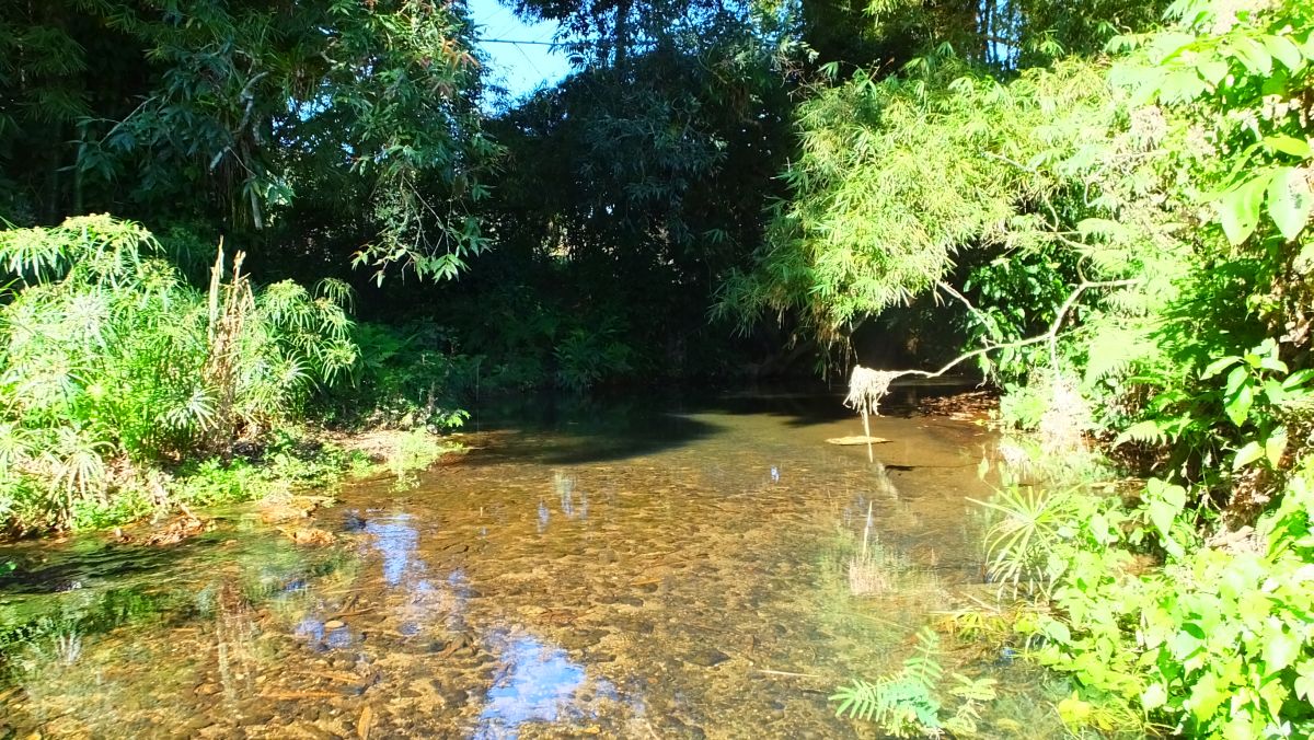 Topes de Collantes