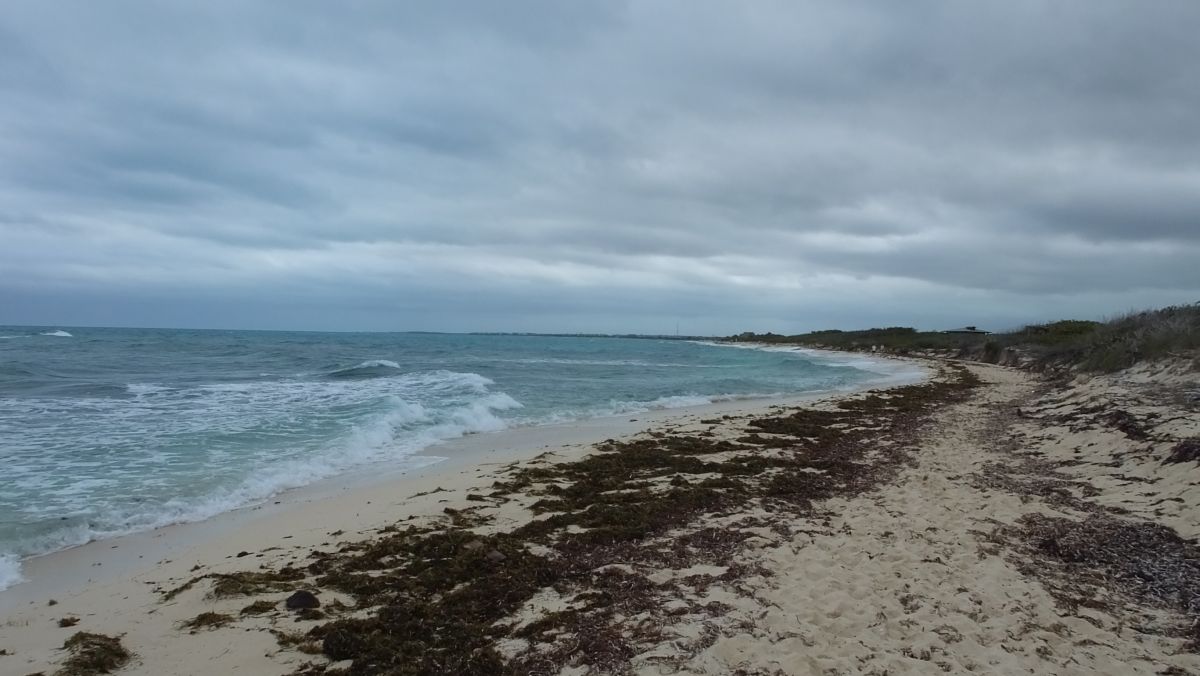 schlimmer Strand, nix wie weg hier